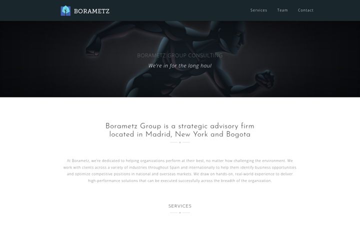 Screenshot of borametzgroup.com