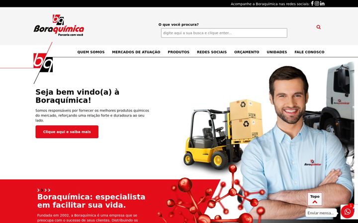 Captura de pantalla de boraquimica.com.br