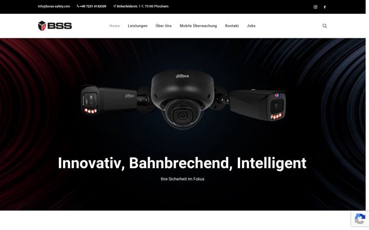 Screenshot of boras-safety.com