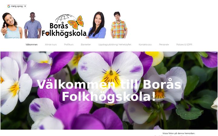 Screenshot of borasfhsk.se