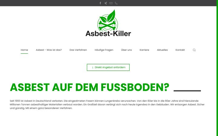Skjámynd af borchers-asbestkiller.de