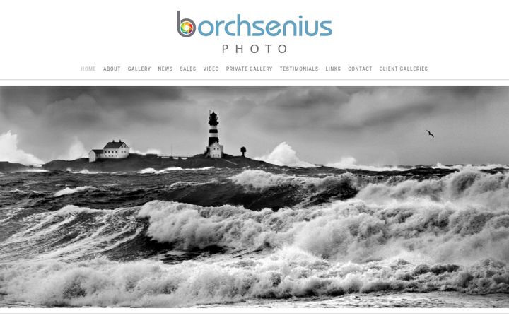 Screenshot of borchseniusphoto.com