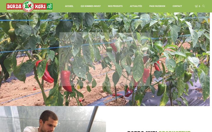 Screenshot of bordaxuri.com