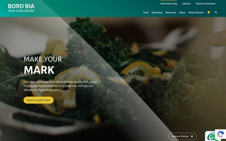 Screenshot of bordbia.ie