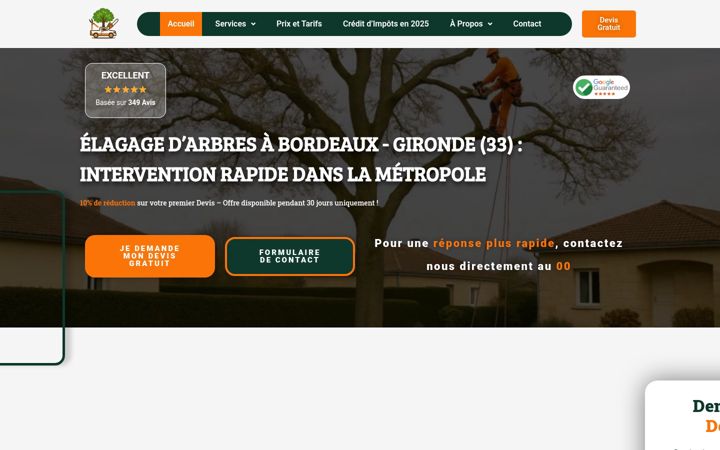 Screenshot of bordeaux-elagage.fr