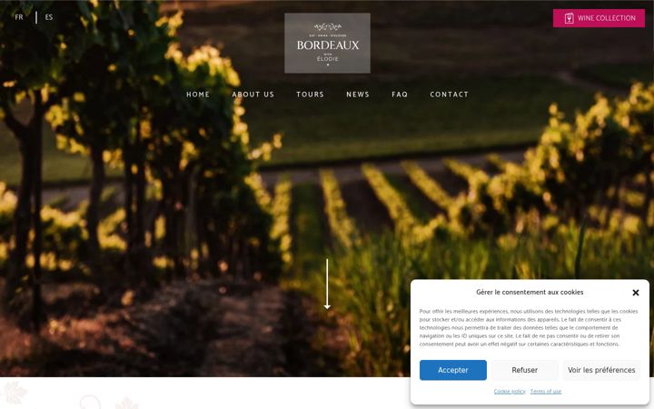 Screenshot of bordeauxwithelodie.com