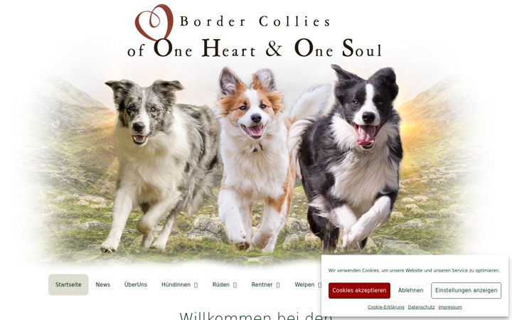 Screenshot of border-collies-of-one-heart-and-one-soul.de