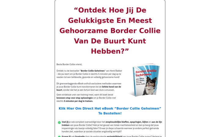 Screenshot di bordercolliegeheimen.nl