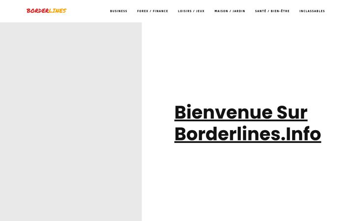 Screenshot of borderlines.info