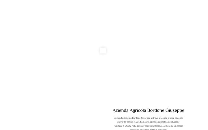 Skjámynd af bordonegiuseppe.it