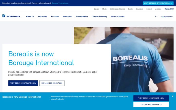 Screenshot of borealisgroup.com