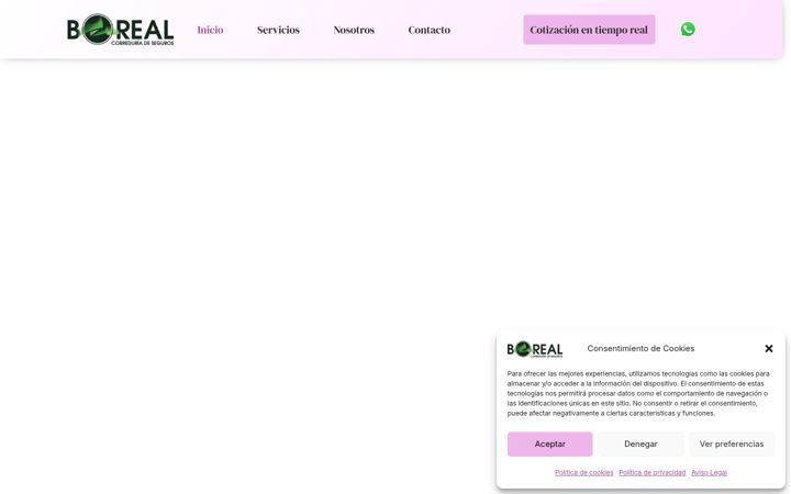 Screenshot of borealseguros.com