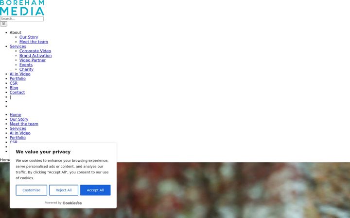 Screenshot of borehammedia.co.uk