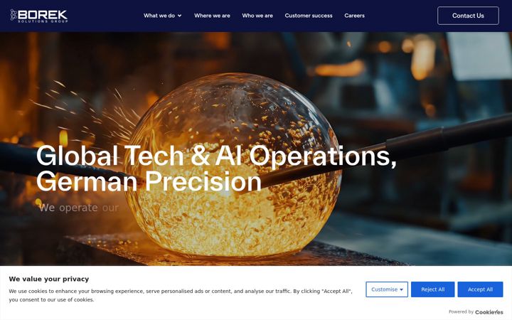 Screenshot of boreksolutions.com