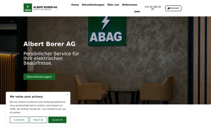 Screenshot of borer-ag.ch