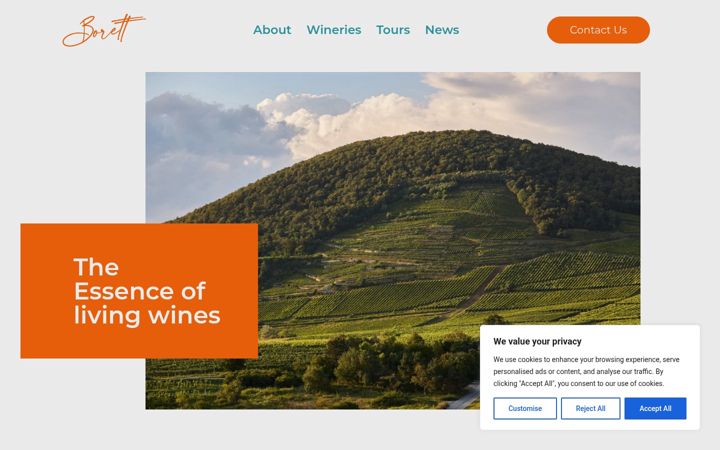 Screenshot of borett.com