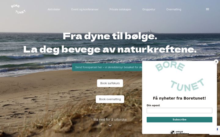 Screenshot of boretunet.no