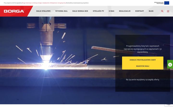 Screenshot of borga.pl