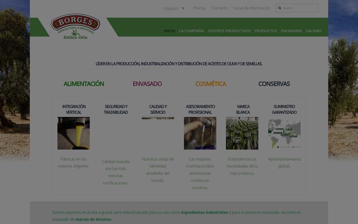 Screenshot of borges-baieo.com