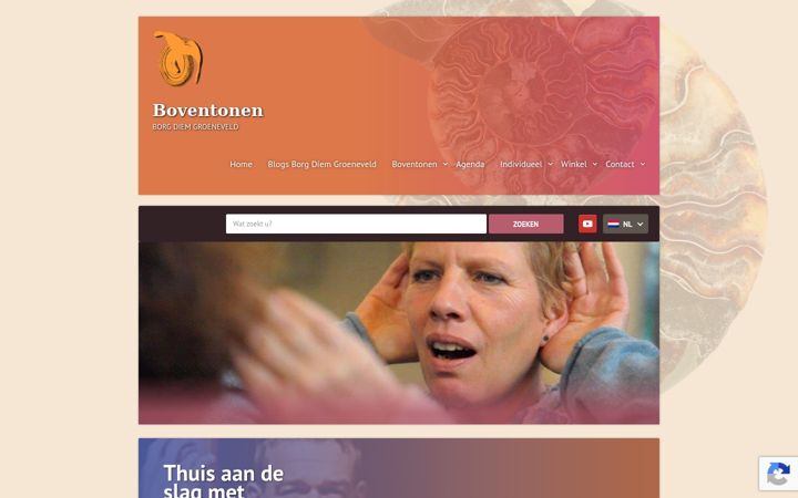 Skjámynd af borggroeneveld.nl