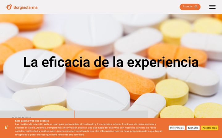Screenshot of borginofarma.es