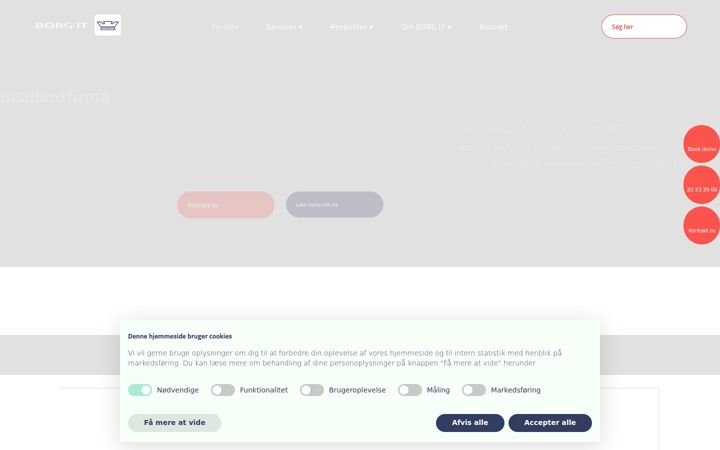 Screenshot of borgit.com