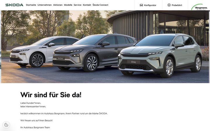 Screenshot of borgmann-dorsten.skoda-auto.de