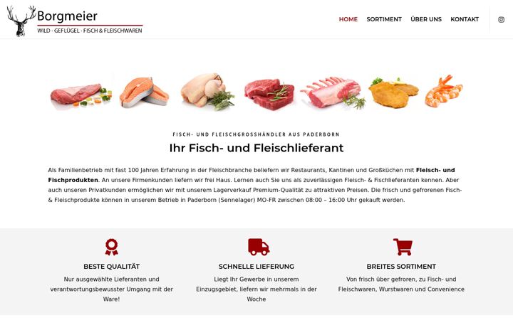 Screenshot of borgmeier-pb.de