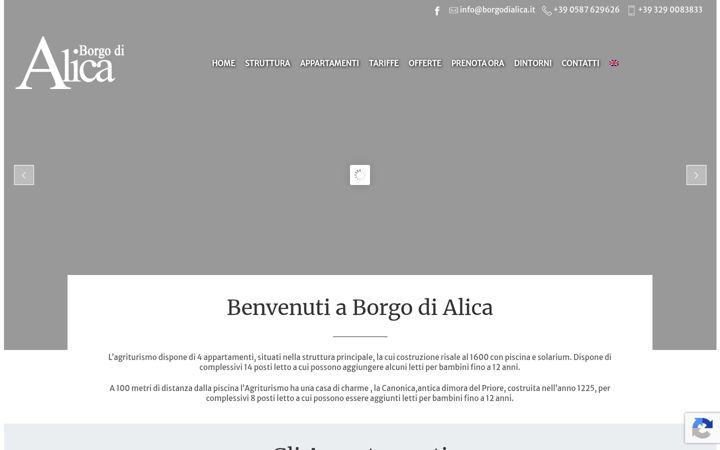 Screenshot of borgodialica.it