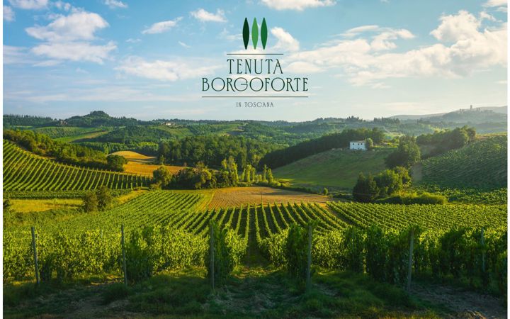 Screenshot of borgofortetoscana.it