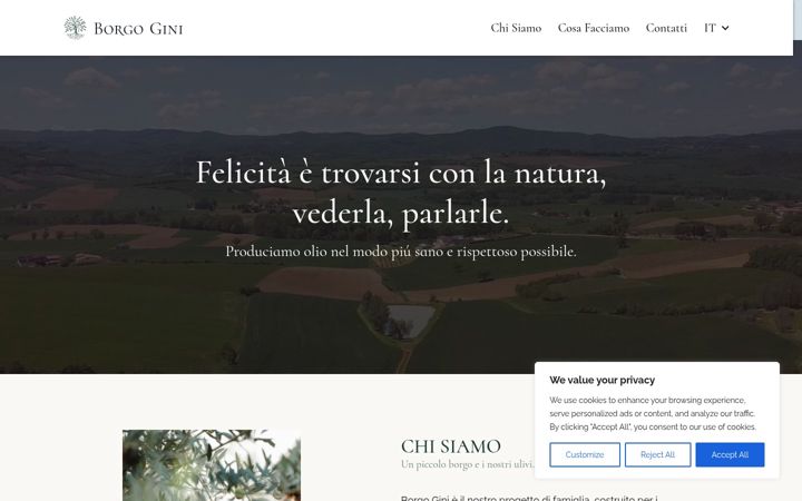 Screenshot of borgogini.com