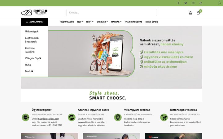 Screenshot of borgoshoes.com