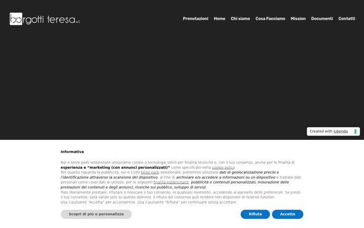 Screenshot of borgottiteresasrl.com
