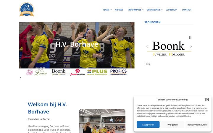 Skjámynd af borhave.nl