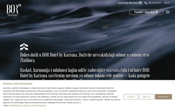 Screenshot of borhotel.com