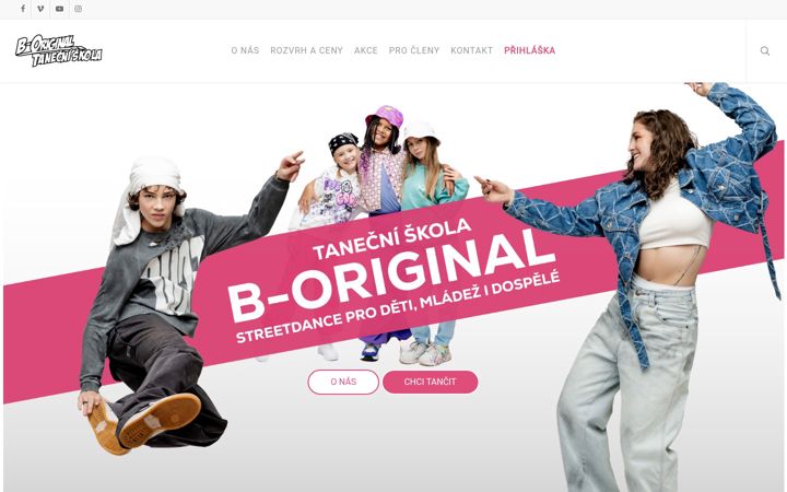 Screenshot of boriginal.cz