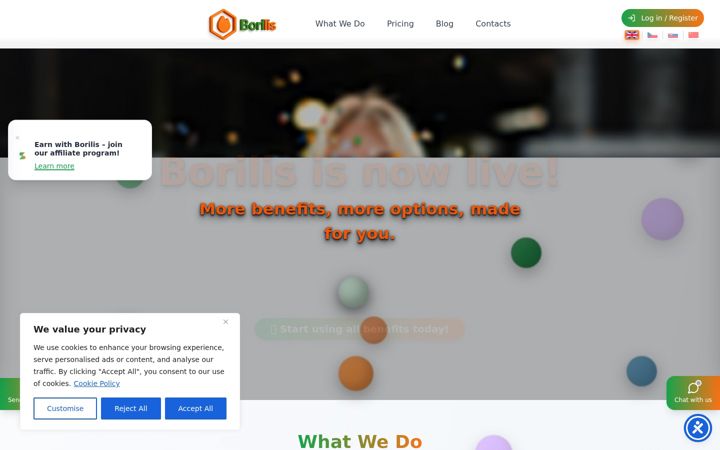 Screenshot of borilis.com