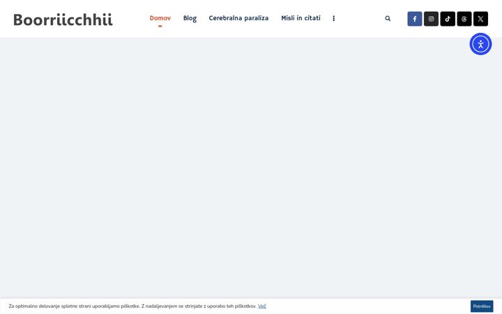 Screenshot von boris-smigoc.si