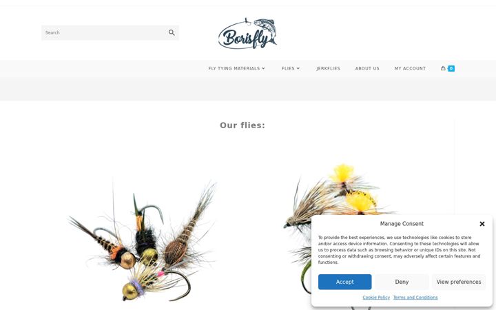 Screenshot of borisfly.com
