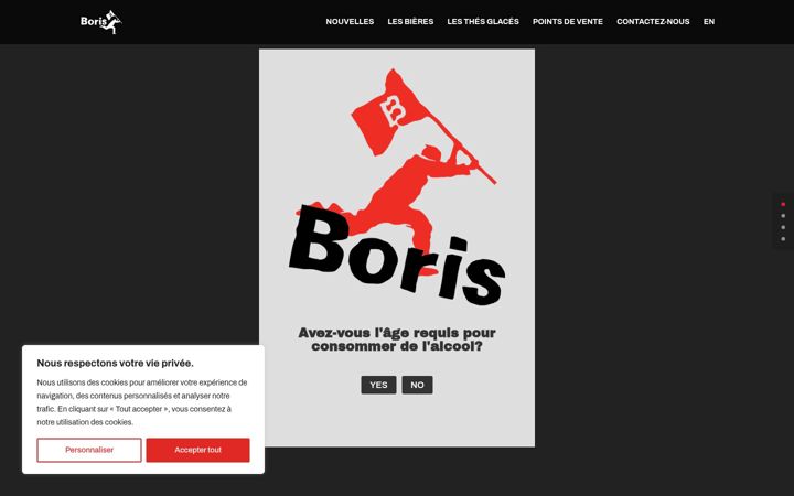 Screenshot of borisnation.com