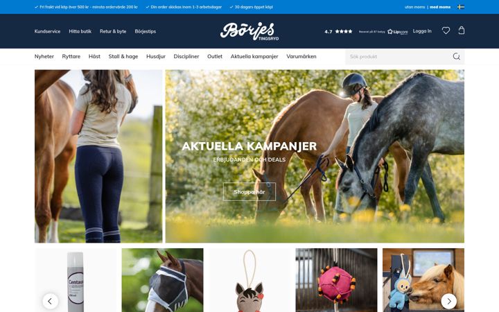 Screenshot of borjes.se