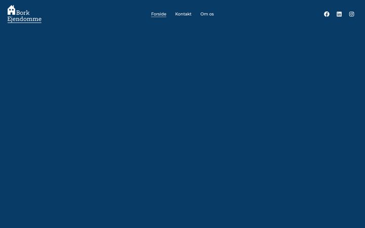 Screenshot of borkejendomme.dk