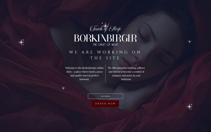 Screenshot of borkenberger.com