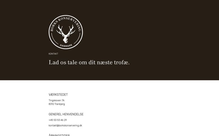 Screenshot of borkskonservering.dk