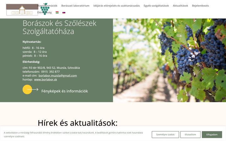 Screenshot of borlabor.sk