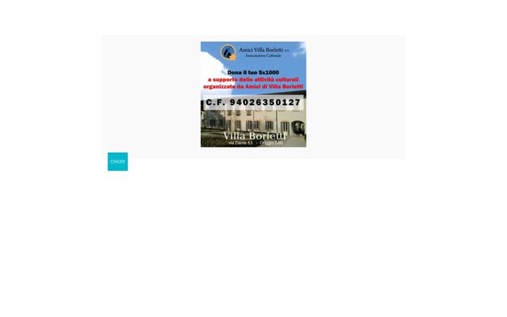 Screenshot of borlettioriggio.it