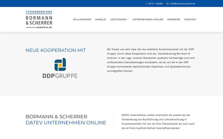 Screenshot of bormann-partner.de