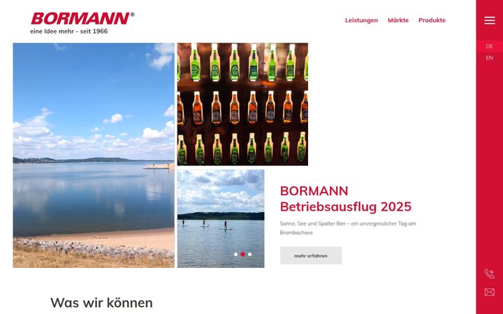 Screenshot of bormann.de