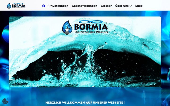Snimka zaslona za bormia.de