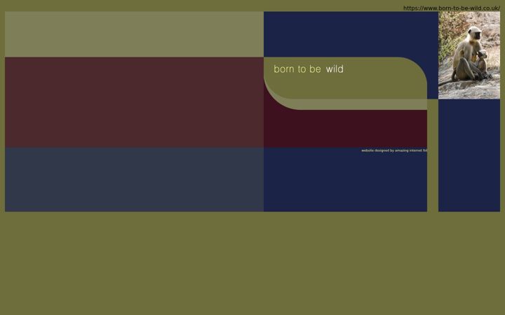 Screenshot of born-to-be-wild.co.uk